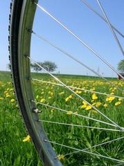 Killikus&reg; Fotographie